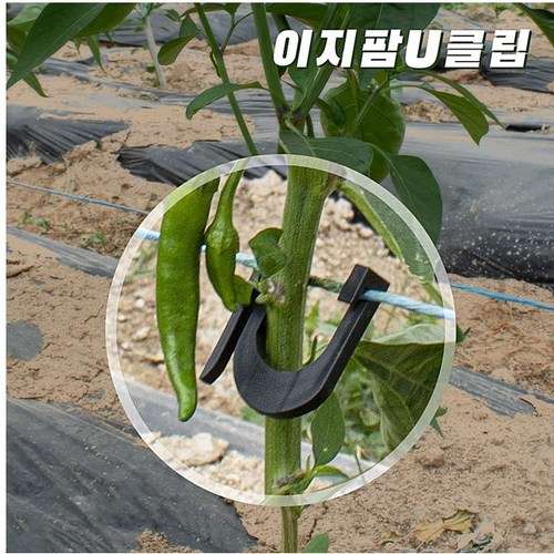 고추클립-추천